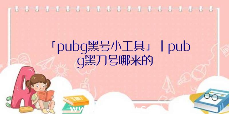 「pubg黑号小工具」|pubg黑刀号哪来的